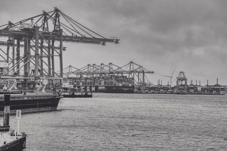 Industrial shipping port with large cranes and ships
