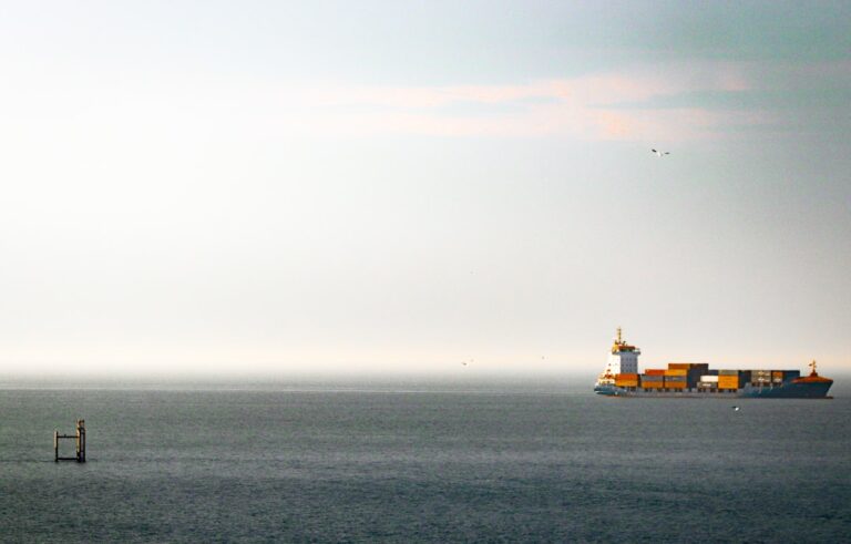 Cargo ship sailing on the calm ocean.