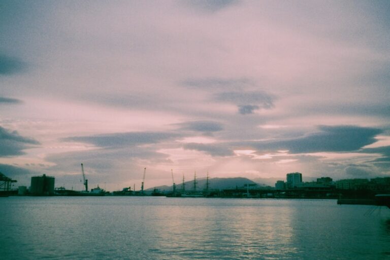 Harbor with boats and buildings under cloudy sky