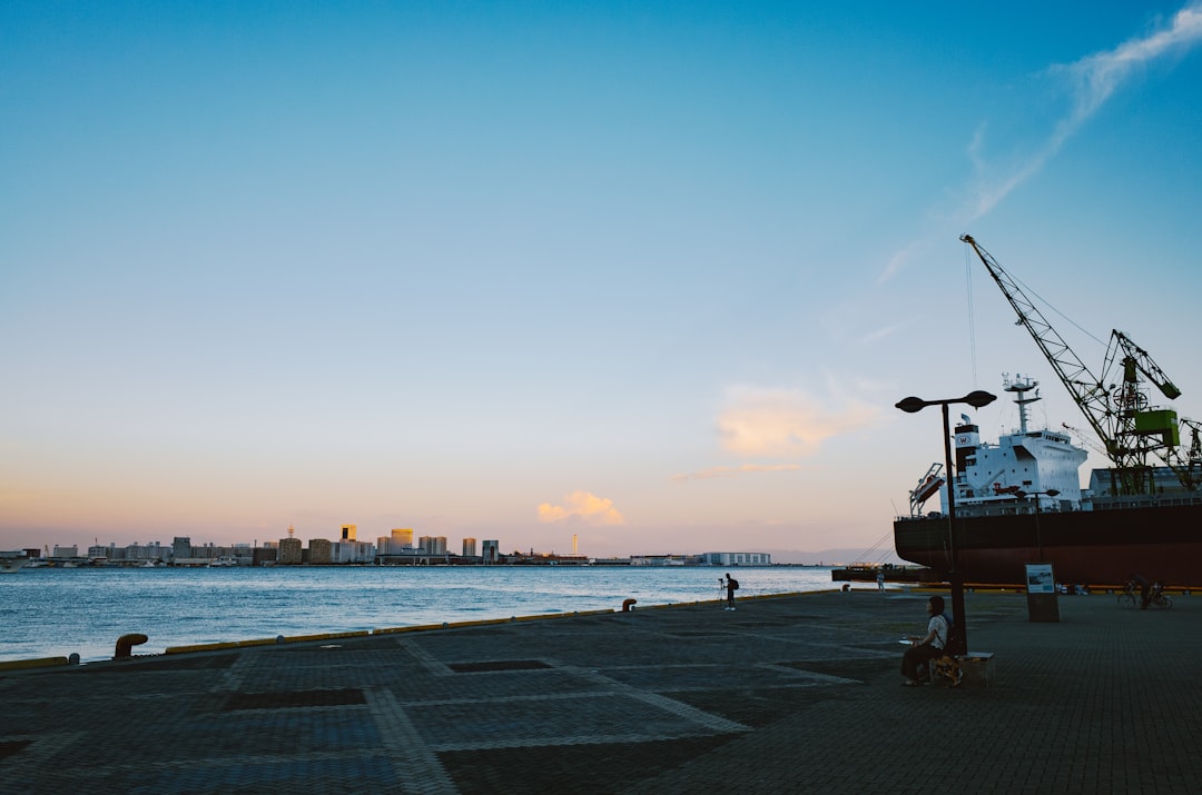 Harbor with cranes and city skyline at dusk.
