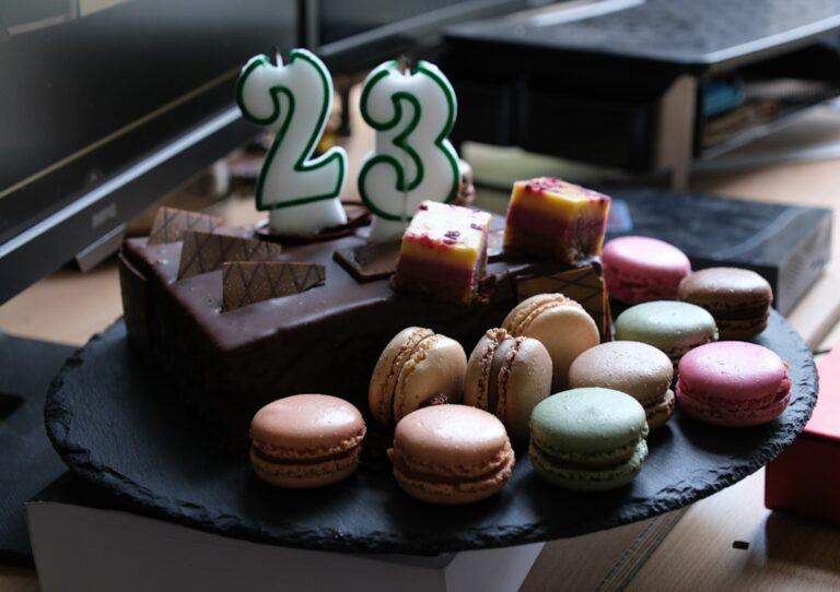 Chocolate cake with macarons and number 23 candles