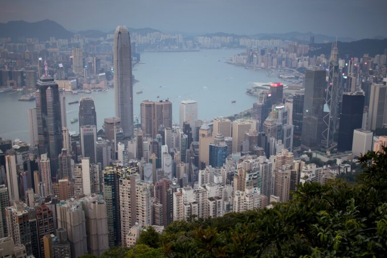 Panoramic view of a dense cityscape with skyscrapers and harbor.