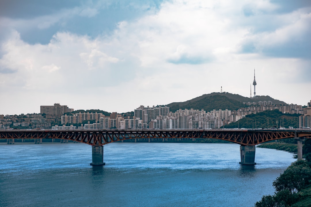 A bridge over a body of water with a city in the background