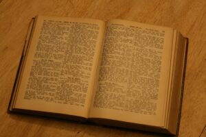 An open antique book with aged pages lies flat.