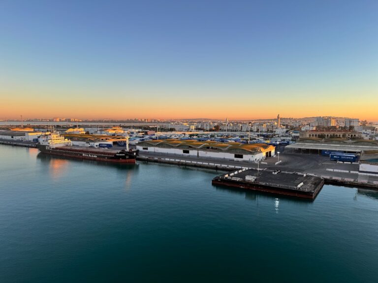 Cargo ships docked at a port during sunrise.