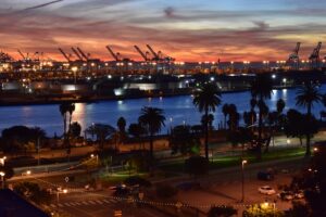 Industrial port with cranes at twilight with palm trees