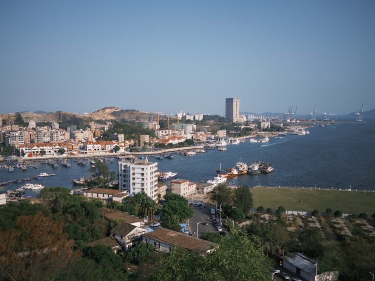 Coastal city with a harbor full of boats.