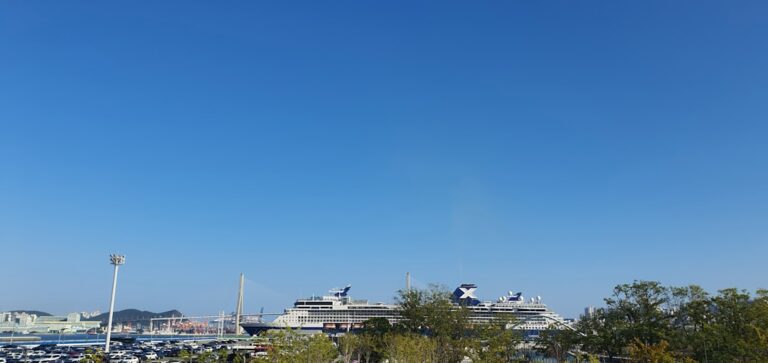 Cruise ship docked near a coastal town under blue sky.