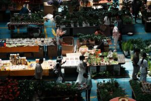 A group of people shopping in a flower shop