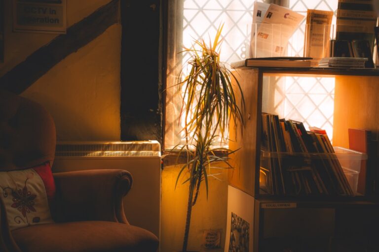 A cozy room bathed in warm sunlight.