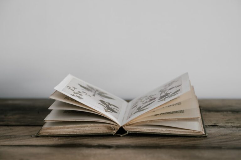 selective focus photography of opened book